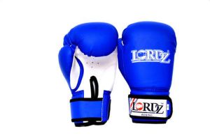 Competition Boxing Gloves