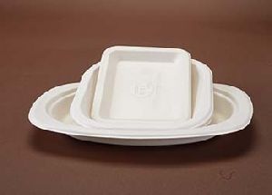 Biodegradable Paper Trays