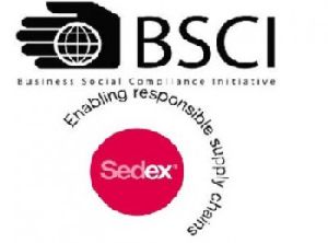 Business Social Compliance Initiative Services , BSCI, Consultancy in Kasna , Noida