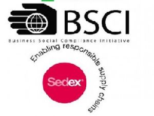 Business Social Compliance Initiative Services in Noida.