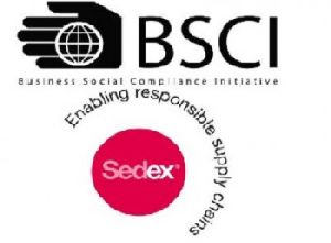 Business Social Compliance Initiative Services in Lajpat Nagar , Delhi