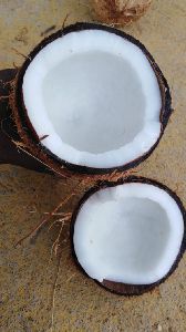 Coconut