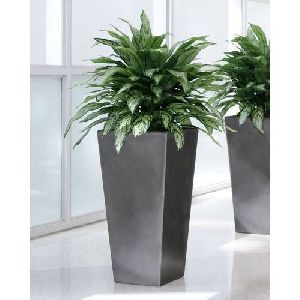 Plastic Artificial FRP Planter