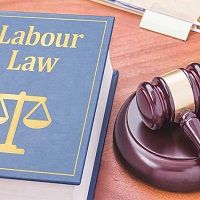 labour law consultancy