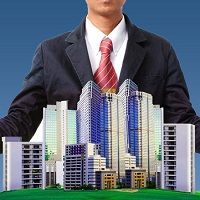 Real Estate Consultant