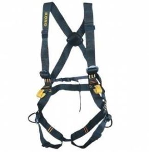 Full Body Harness