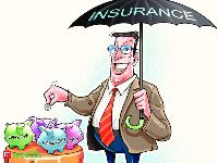 Loan & Insurance Consultant