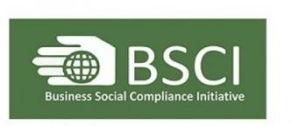 Business Social Compliance Initiative Services , BSCI in Bhadohi