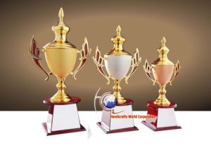 Multicolor Metal Trophy Cup