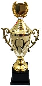 School Trophy Cup