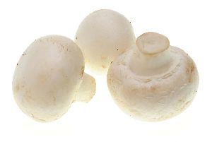 Freeze Dried Mushrooms