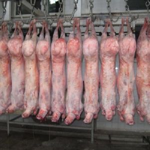 Frozen Lamb Carcasses