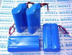 Lithium Ion Battery Pack