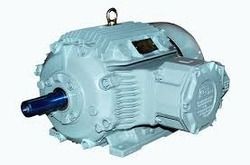 Flameproof Induction Motor