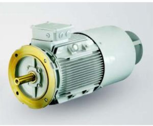 Brake Motors