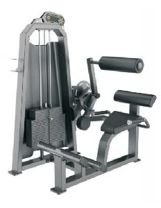 T1031 Back Extension Machine
