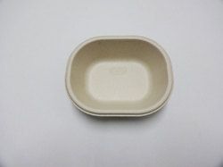 bagasse bowl