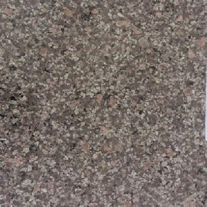 Godhra Grey Granite