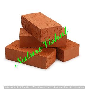 NATURE VISHAL - CocoPeatBlocks 1 KG