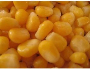 Frozen Sweet Corn