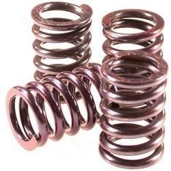 Clutch Springs