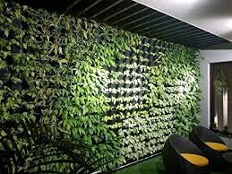 vertical garden