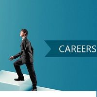 Career Consultant