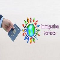 immigration consultant