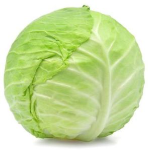 Fresh Cabbage