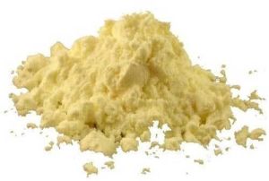 Butter Milk Powder