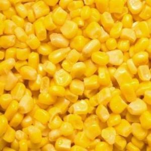 Frozen Sweet Corn