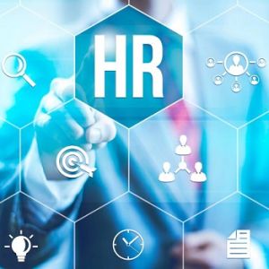 hr consultant