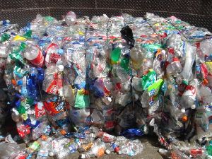 Waste Pet Bottle Scrap