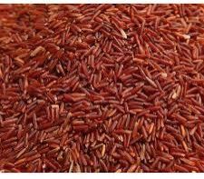 organic red rice