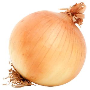 Fresh Brown Onion