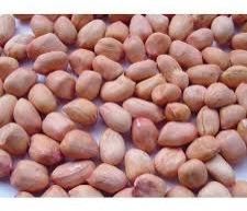 Groundnut Kernel