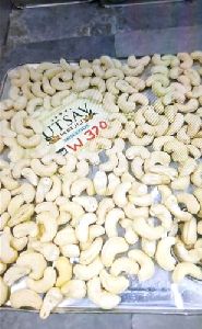 cashew nut