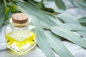 Eucalyptus Oil