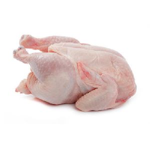 Halal Fresh Chicken