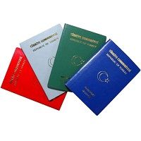 passport consultant