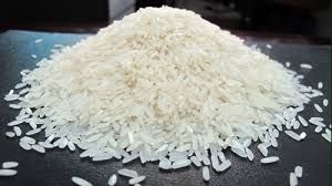 Raw Sortex Mota Rice broken