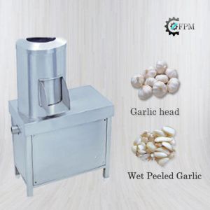 Garlic Peeling Machine