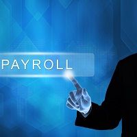 pay roll services