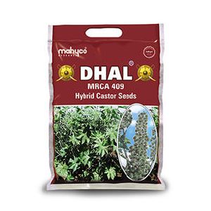 Dhal (MRCA-409) Hybrid Castor Seeds