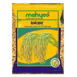 Dhananjay (Suruchi MRP-5402) Hybrid Paddy Seeds