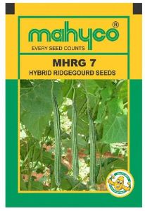 Hybrid Ridge Gourd Seeds