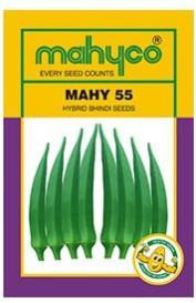 MAHY 55 Hybrid Okra Seeds