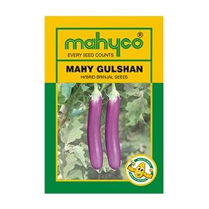 MAHY Gulshan Hybrid Brinjal Seeds