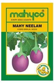 MAHY Neelam Hybrid Brinjal Seeds