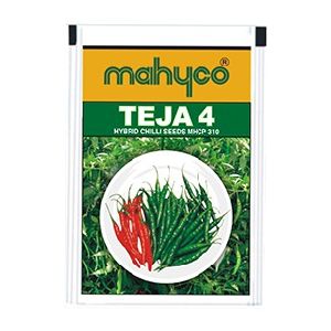 MHCP 310 Teja Hybrid Chilli Seeds